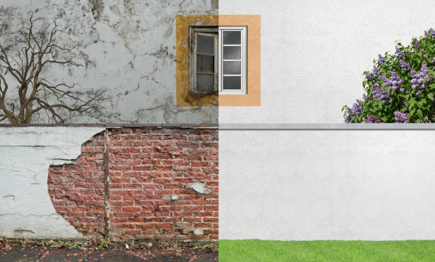 Best Mold Remediation for Rental Properties  in South Gate, CA